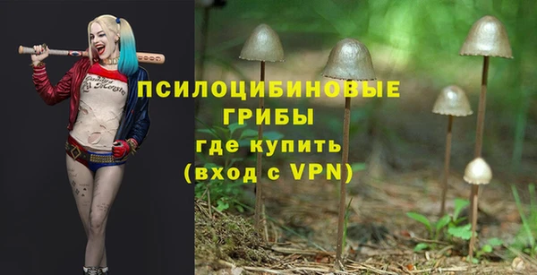 меф Алексин