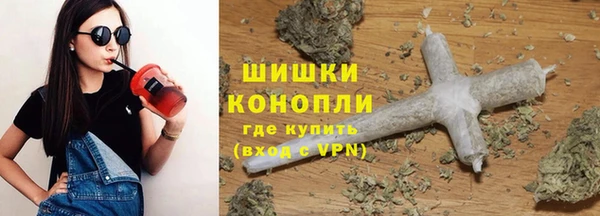 шишки Бердск