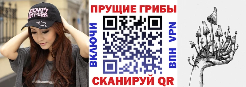 Галлюциногенные грибы MAGIC MUSHROOMS  Ардатов 